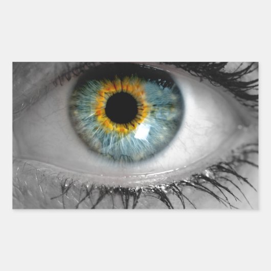 Het oog kijkt kijkersconcept macro rechthoekige sticker (Voorkant)