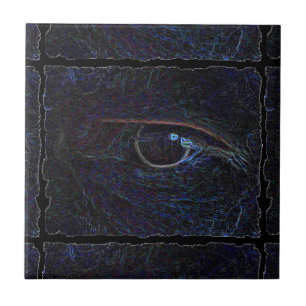 Het oog tegeltje