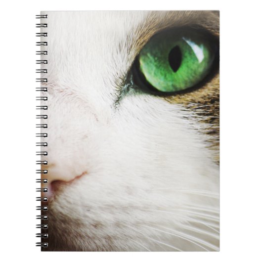 Het Oog van de kat Notitieboek (Voorkant)