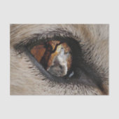 Het oog van de Wolf Tissuepapier (Voorkant)