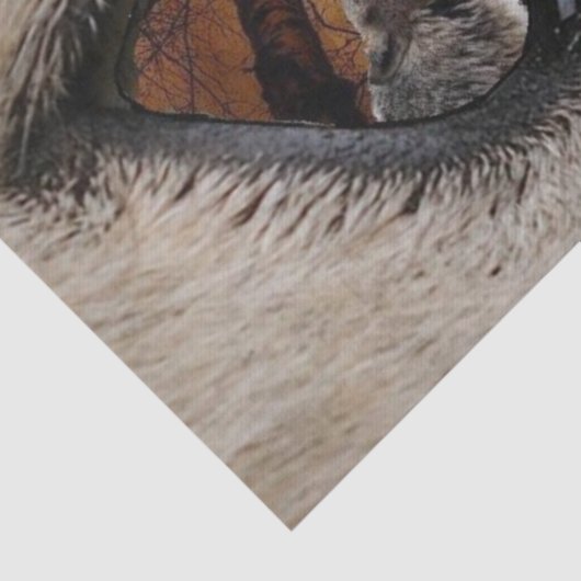 Het oog van de Wolf Tissuepapier (Detail)