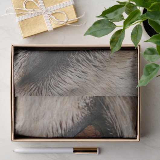 Het oog van de Wolf Tissuepapier (Geschenk)