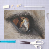 Het oog van de Wolf Tissuepapier (Craft)