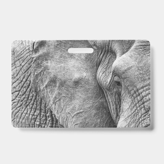 Het oog van een olifant badge (Voorzijde)
