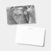 Het oog van een olifant badge (Voor- en achterkant)