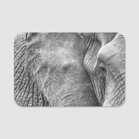 Het oog van een olifant naamplaatje (Voorkant)