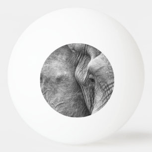 Het oog van een olifant pingpongbal