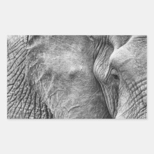 Het oog van een olifant rechthoekige sticker