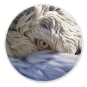 Het oog van een Pelicaan Keramische Knop (Voorkant)