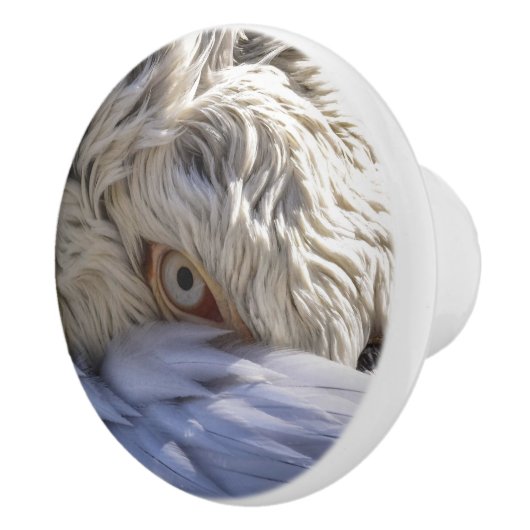 Het oog van een Pelicaan Keramische Knop (Rechts)