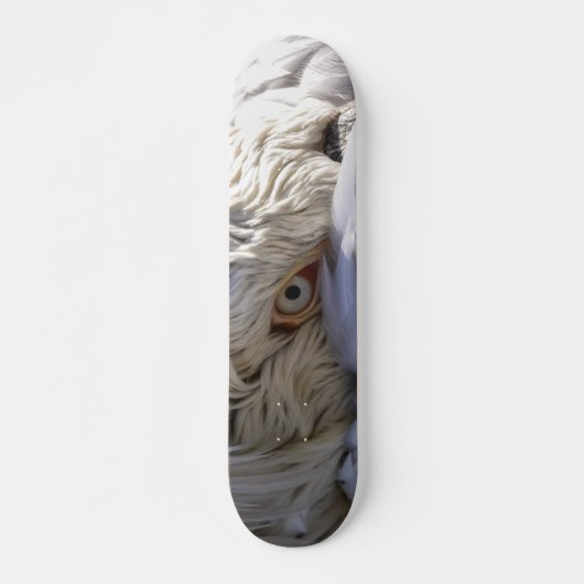 Het oog van een Pelicaan Persoonlijk Skateboard (Voorkant)