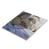 Het oog van een Pelicaan Tegeltje (Zijkant)