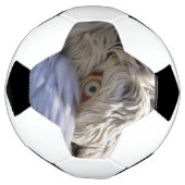 Het oog van een Pelicaan Voetbal (Gedraaid)