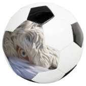 Het oog van een Pelicaan Voetbal (Drie kwart)