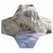 Het oog van een Pelicaan Voetbal (Enkel)
