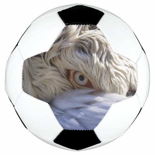 Het oog van een Pelicaan Voetbal (Voorkant)
