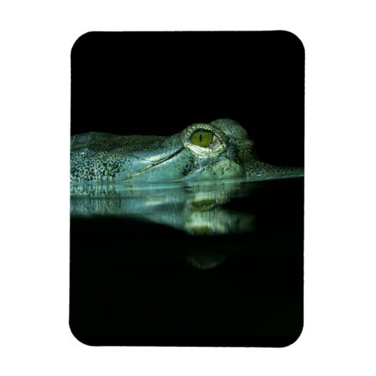 Het oog van het garen magneet (Verticaal)
