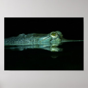 Het oog van het garen poster