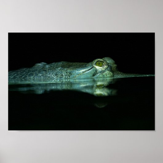 Het oog van het garen poster (Voorkant)