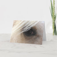 Het Oog van het Paard van Palomino, de Dag van