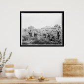 Het oogsten van aardappelen aan de Universiteit va Poster (Keuken)