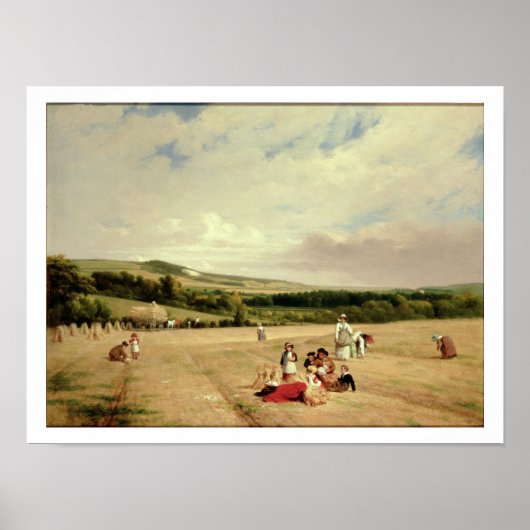 Het oogstveld (olie op doek) poster (Voorkant)