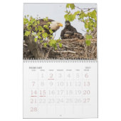 Het opgroeien van ELGF Kalender (Feb 2027)
