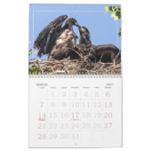 Het opgroeien van ELGF Kalender (Mar 2027)
