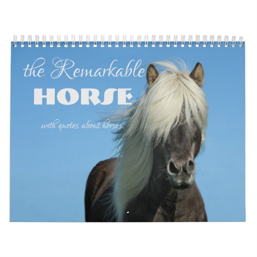 Het opmerkelijke Paard met het Kalender van de Cit (Hoes)