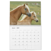Het opmerkelijke Paard met het Kalender van de Cit (Mar 2027)