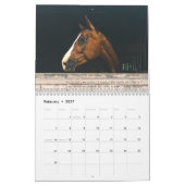 Het opmerkelijke Paard met het Kalender van de Cit (Feb 2027)