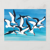 Het oppervlak schaden briefkaart (Voorkant)