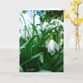 Het opspringen kaart (Gele Bloem)