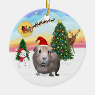 Het opstijgen - Guinee Pig #2 Keramisch Ornament