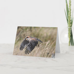 Het opstijgen van Wenskaart Kaart