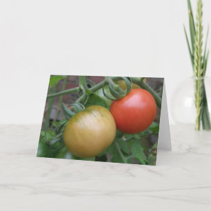 Het oranje en Rode Wenskaart van Tomaten Kaart
