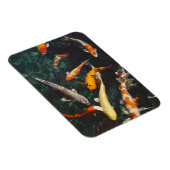 Het Oranje en Witte Aziatische Koi visplatform ver Magneet (Rechterzijde)