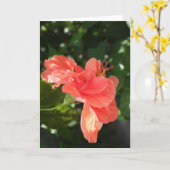 Het oranje Wenskaart van de Hibiscus Kaart (Gele Bloem)