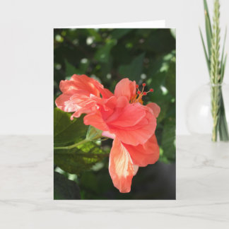 Het oranje Wenskaart van de Hibiscus Kaart