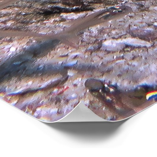 Het Orbiting Shiners en Wobbegong Poster (Hoek)