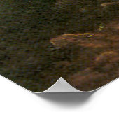 Het Oregon Trail van Albert Bierstadt Poster (Hoek)