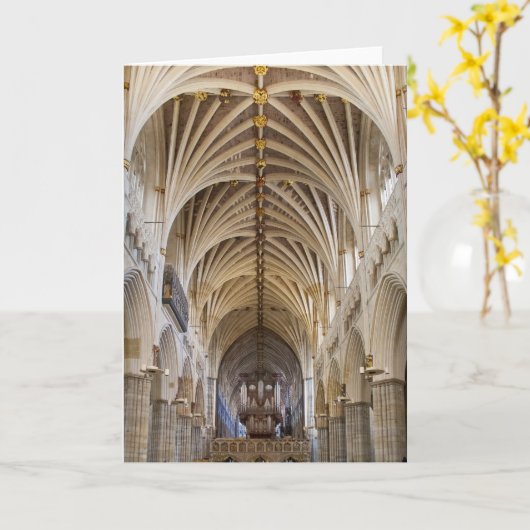 Het orgaan en het plafond van de Kathedraal van Kaart (Gele Bloem)