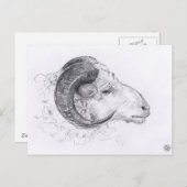 Het Originele Briefkaart van de Tekening van de RA (Voorkant / Achterkant)