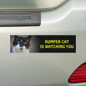 Het originele broodje Cat kijkt Bumpersticker (Op auto)