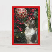 Het ornament grappig wenskaart van Kerstmis van de Feestdagen Kaart (Voorkant)