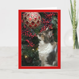 Het ornament grappig wenskaart van Kerstmis van de Feestdagen Kaart