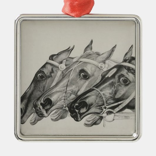 & —Het ornament Leiders (Voorkant)