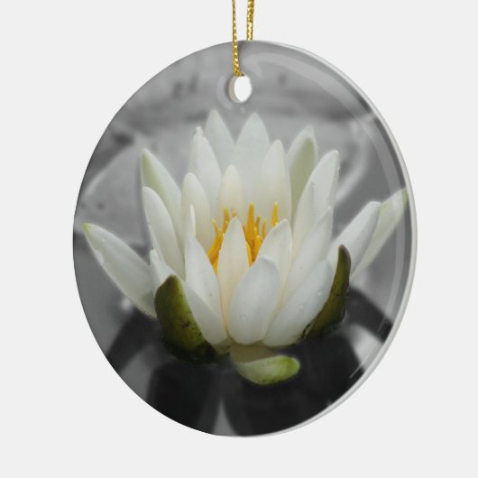 Het Ornament van de Bloem van BW van de waterlelie (Links)