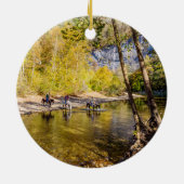 Het Ornament van de buffelrivier passeren (Achterkant)