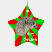Het Ornament van de Egel van Kerstmis (Rechts)